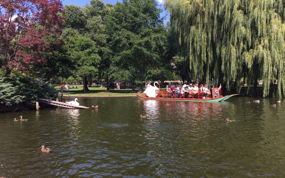 Take A Boston Swan Boat Ride!